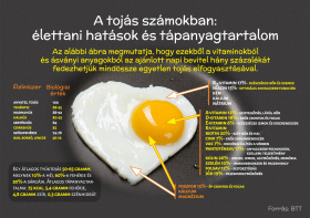tojás10
